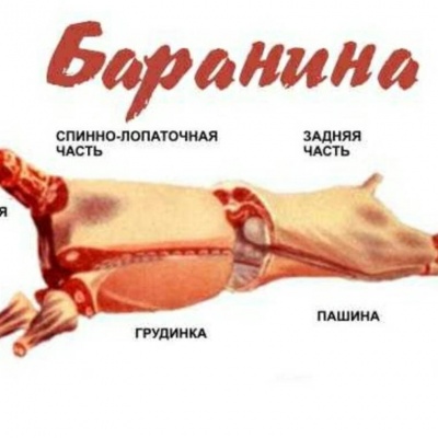 Части барана Части барана
