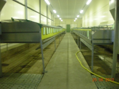 dscn2051_400