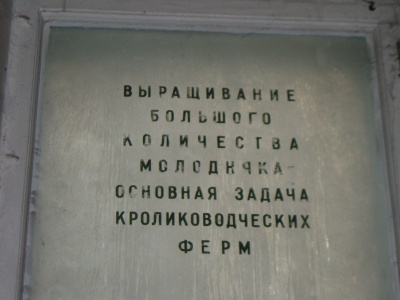 dscn7713_400