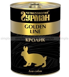 golden_dog_340krolik.800x600w golden_dog_340krolik.800x600w