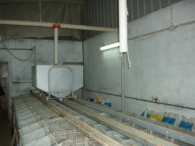 p1010016_400